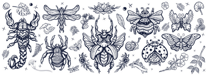 Insects. Stag beetle, bee, bumblebee, butterfly, snail, scorpion, ladybug, spider, dragonfly. Old school tattoo vector collection. Traditional tattooing style