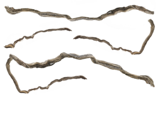 piece of wood on transparent background