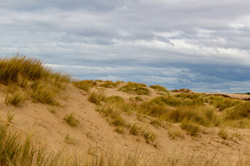 sand dunes