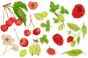 Watercolor collection with various berries, green leaves isolated on white background. For various food products, etc.