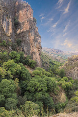 Fototapeta na wymiar A Rocky Mountain and Green Nature View from Los Cahorros, Spain