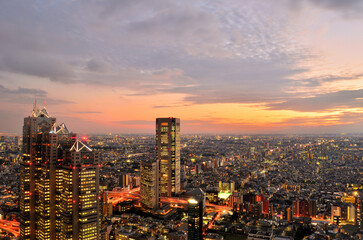 Fototapeta na wymiar 東京都庁から見る新宿の夕景