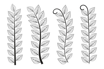 Hand-drawn doodle olive tree branches autumn leaves, vintage Laurel Wreath leafs, flora symbol decorative stem, Botanical branch and leaves, design element forest and plant, vector illustration 
