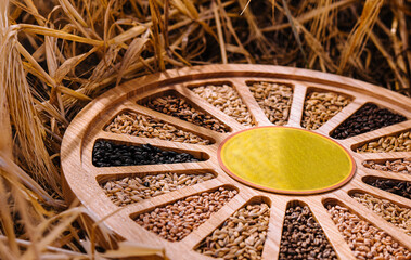 Different types of cereal grains with ears