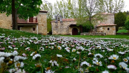Casa aantigua y flores