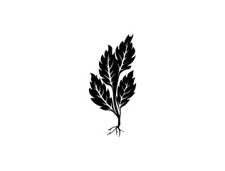 set of leaves. A plant with roots. leaves on white background. Vector illustration EPS	