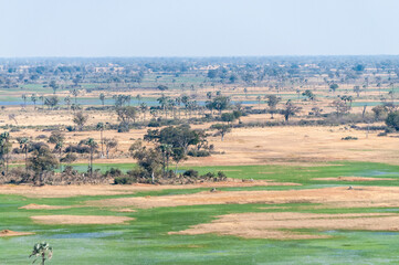 An aerial impression of the Okavango Delta, Botswana, as seen from a Helicopter.