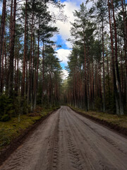 Fototapeta na wymiar Winding forest gravel track in a moody day. European woods landscape.
