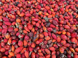 background of dried rose hip fruits