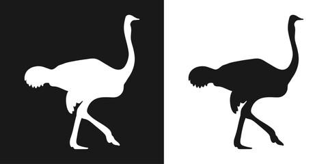 Vector set of decorative, detailed, isolated ostriches in black on a white background