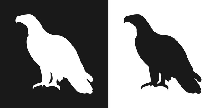 Vector set of decorative, detailed, isolated eagles in black on a white background