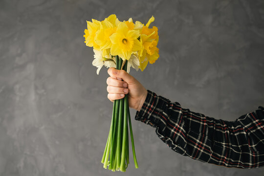 Burst of Spring. A Yellow Daffodil Bouquet in a Man's Hand as a Symbol of Love. Greeting card background. - Powered by Adobe