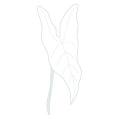 Line art leaf 