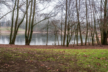 Geese and other waterfowl in a nature park in the middle of the city of Neuss in western Germany