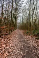 a nature park in the middle of the city of Neuss in western Germany
