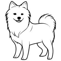 illustration of cartoon American Eskimo dog