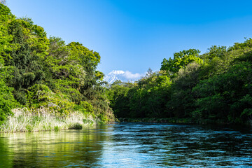 静岡県の駿東郡清水町を流れる清流で有名な柿田川と富士山
