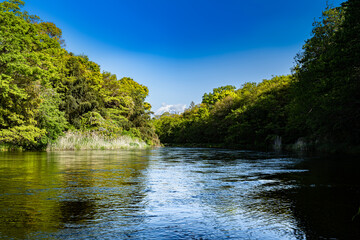 静岡県の駿東郡清水町を流れる清流で有名な柿田川と富士山
