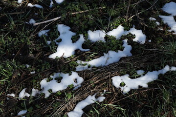The last snow on the ground in spring