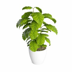 3D rendering of a vibrant green plant in a white pot isolated on a white background.