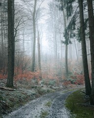 Obraz premium Scenic view of a foggy forest landscape, with a clear pathway in the middle