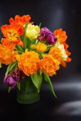 Vase with large orange and yellow tulips on black background