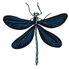 Beautiful navy blue dragon fly ,good for graphic design resources.