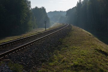 Zakręcający tor kolejowy biegnący przez las we mgle