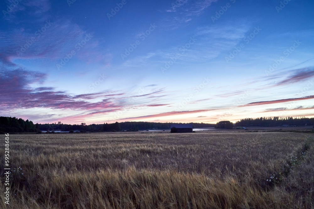 Poster Scenic landscape featuring a vast field of lush green grass