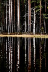 Pristine lake surrounded by a dense forest with a vivid reflection of trees on its glassy surface