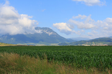 View of a field and mountains in the Transylvania region. Romania