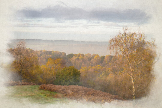 Digital watercolour painting of autumnal fall tree and leaf colours at the Downs Banks, Barlaston, Staffordshire.