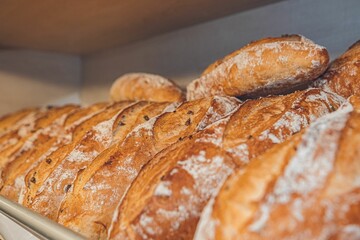 horizontal photo of whole grain breads