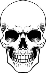A skull in an engraved woodcut etching tattoo design