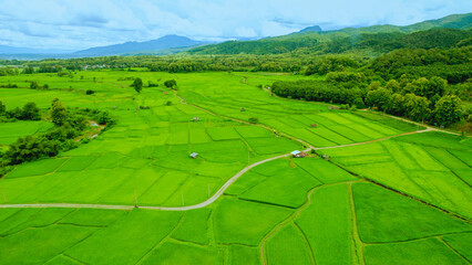 Fototapeta na wymiar Beautiful aerial view of rice paddy field in Sapan village a small village nestled in a forested northern valley of pure air and pristine rivers in Nan province of Thailand.