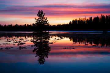 Vibrant sunrise reflecting on water with pine trees - Lassen County California USA