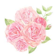Watercolor illustration of a delicate pink rose with decorative leaves