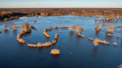 an aerial shot of trees in the water at Soomaa, National park