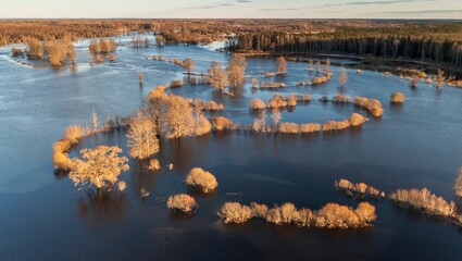 an aerial shot of trees in the water at Soomaa, National park