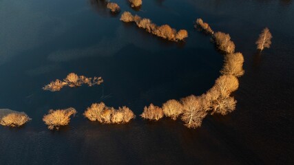several trees that are standing on top of a lake next to some water