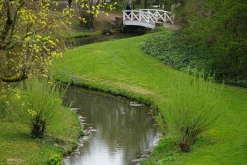 Fototapeta premium Tranquil body of water surrounded by lush green grass and trees