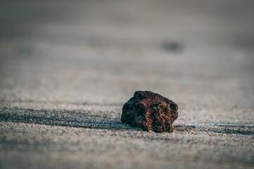 Closeup shot of a large brown rock on a sandy beach