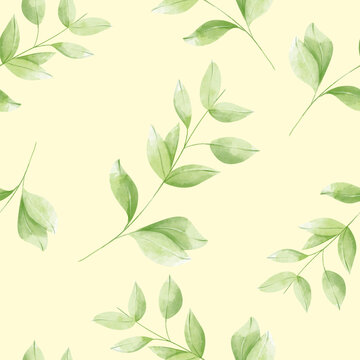 Watercolor seamless pattern with silver dollar eucalyptus leaves and branches on cream background for textile, paper and other print and web projects