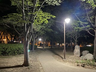 집 근처 공원의 저녁 풍경