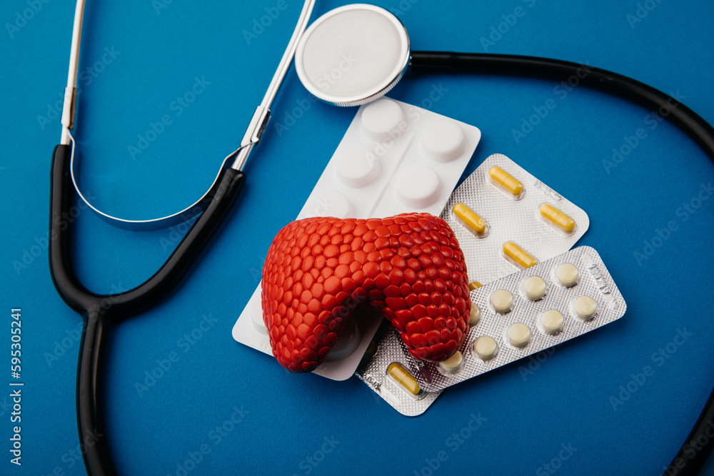 Wall mural Red model of thyroid with pills and stethoscope on blue background