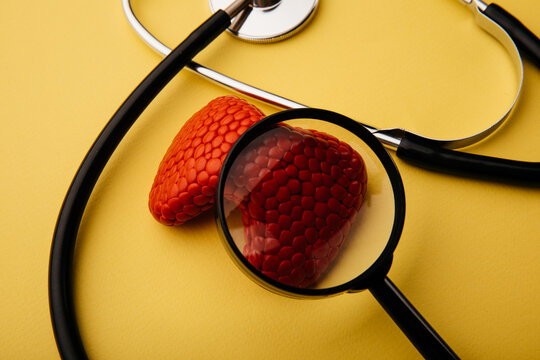 Stethoscope and red model of thyroid gland under magnifying glass on a yellow background close-up