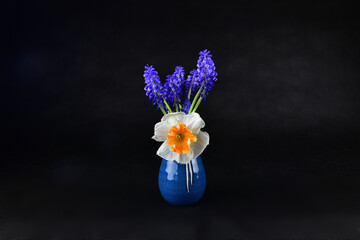 The beautiful grape hyacinth and the blueberry in a blue ceramic vase. 
Focused on the center of the grape hyacinth.