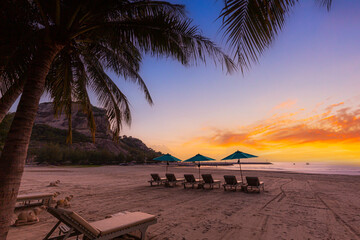 Silhouette of palm trees and beach beds at sunset on the paradise beach in Las Terrenas,Coconut trees and beach in the morning