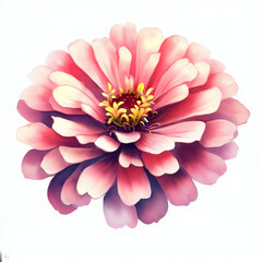 Fototapeta premium Illustration Fleur de Zinnia Illustration Fleur D'Œillet- Style Aquarelle Réaliste - Fond Blanc - Généré par IA
