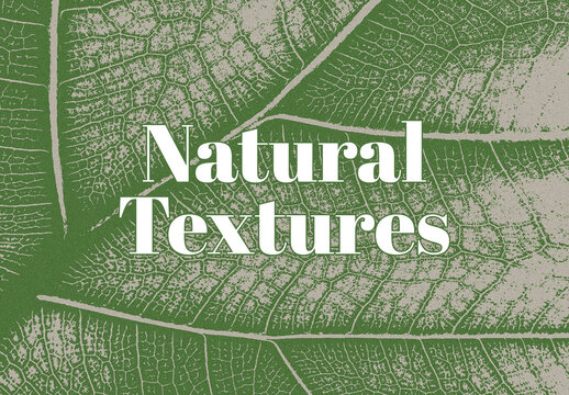 Organic and Natural Leaf Texture Set